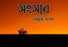 সংসার শেষপর্ব