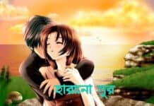 হারানো_সুর- শেষ পর্ব