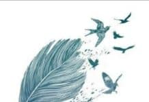 গাংচিল, পর্ব:২১