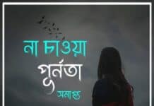 না_চাওয়া_পূর্ণতা পর্ব : ২১
