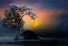 একাকী_বিকেল পর্ব-৫