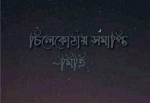 চিলেকোঠায়_সমাপ্তি বারোতম_পর্ব(শেষ)