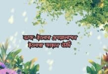 তাজ ইলোর প্রণয়ালাপন পর্ব:৪৩