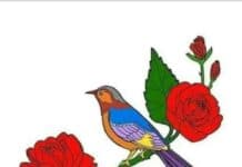 প্রণয়_ডায়েরবি পর্ব.৩