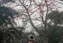 রঙ বেরঙের জীবন শেষ  পর্ব