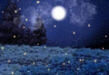 হারিয়ে খুঁজবে আমায় শেষ পর্ব