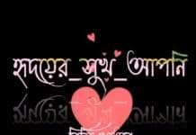 হৃদয়ের সুখ আপনি অন্তীম পর্ব