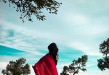 শাপলার মৃত্যু শেষ পর্ব