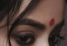 চড়ুইপাখির বন্ধুত্ব অন্তীত পর্ব