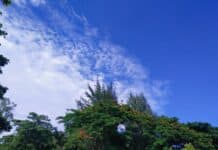 লুকোচুরি শেষ পর্ব