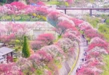 মন প্রাঙ্গনে এলে যখন পর্ব ১০