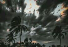 মেরীর প্রতিজ্ঞা ( শেষ পর্ব )