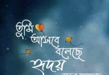 তুমি আসবে বলেছে হৃদয় শেষ পর্ব