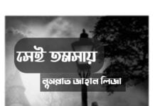 সেই তমসায় পর্ব ১৭