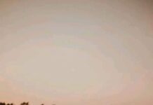 কুড়িয়ে পাওয়া ধন পর্ব ৪৩