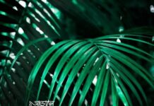 আড়ালে অন্তরালে শেষ পর্ব