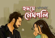 হৃদয়ে মেঘগলি পর্ব ১৭