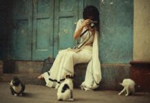 ভয় শেষ পর্ব