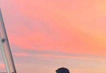 নিষ্প্রভ প্রণয় শেষ পর্ব