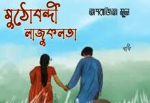 মুঠোবন্দী লাজুকলতা শেষ পর্ব